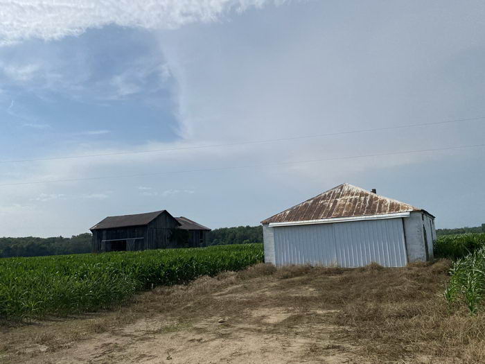 Wickware - July 2021 Photo Of Wickware (newer photo)